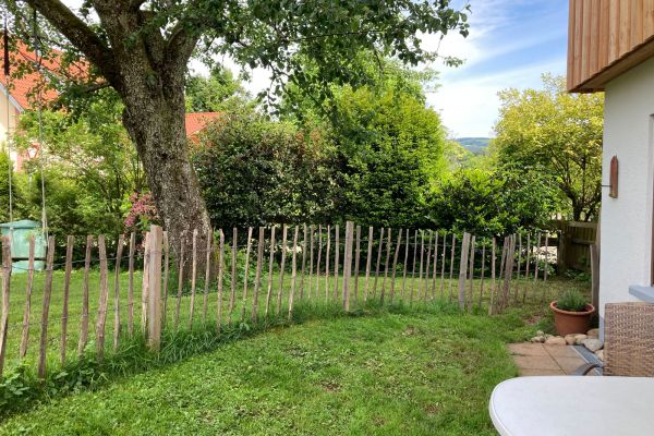 Birnbaum neben der Terrasse