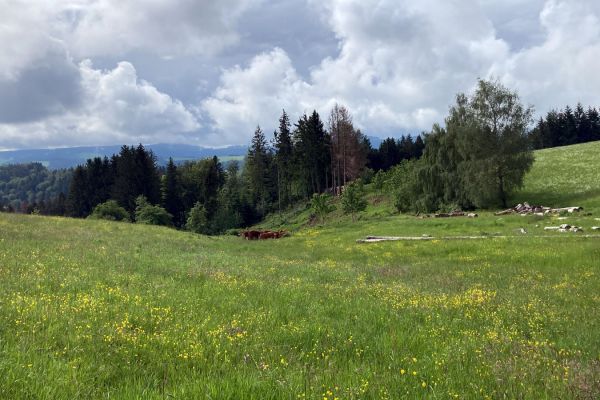 Landschaft in der unmittelbaren Umgebung